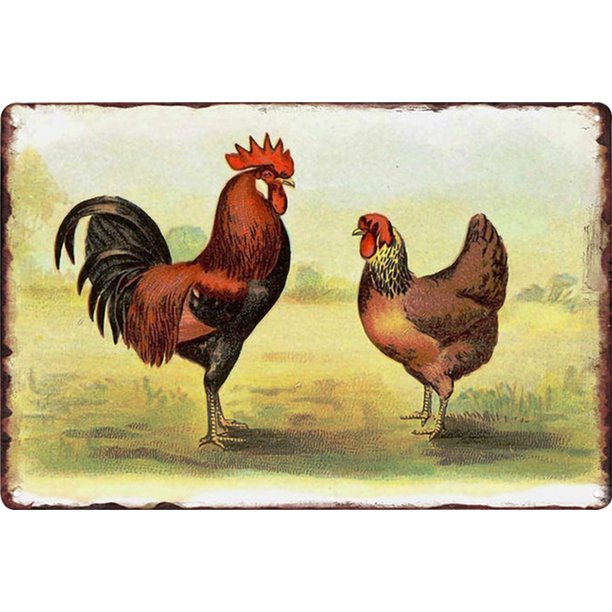 Placa de gallo y gallina, placa de letrero de estaño de Metal Vintage, pintura decorativa de hierro Tmvgtek Para estrenar