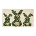 thumbnail image 2 of EGNMCR Easter Decorations Easter Bunny Flocked Bathroom Rug Plushes Absorbent Mat Non Slide Carpet For Bedroom Living Room Soft Fluffys Door Mat Holiday Spring Home Decor Polyester carpet, 2 of 6