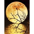 thumbnail image 1 of Evershine 5D DIY Diamond Painting Moon Full Square Diamond Embroidery Landscape Cross Stitch Mosaic Sale Home DecorationFull Square 60X80cm Gao Jinjia LED, 1 of 2
