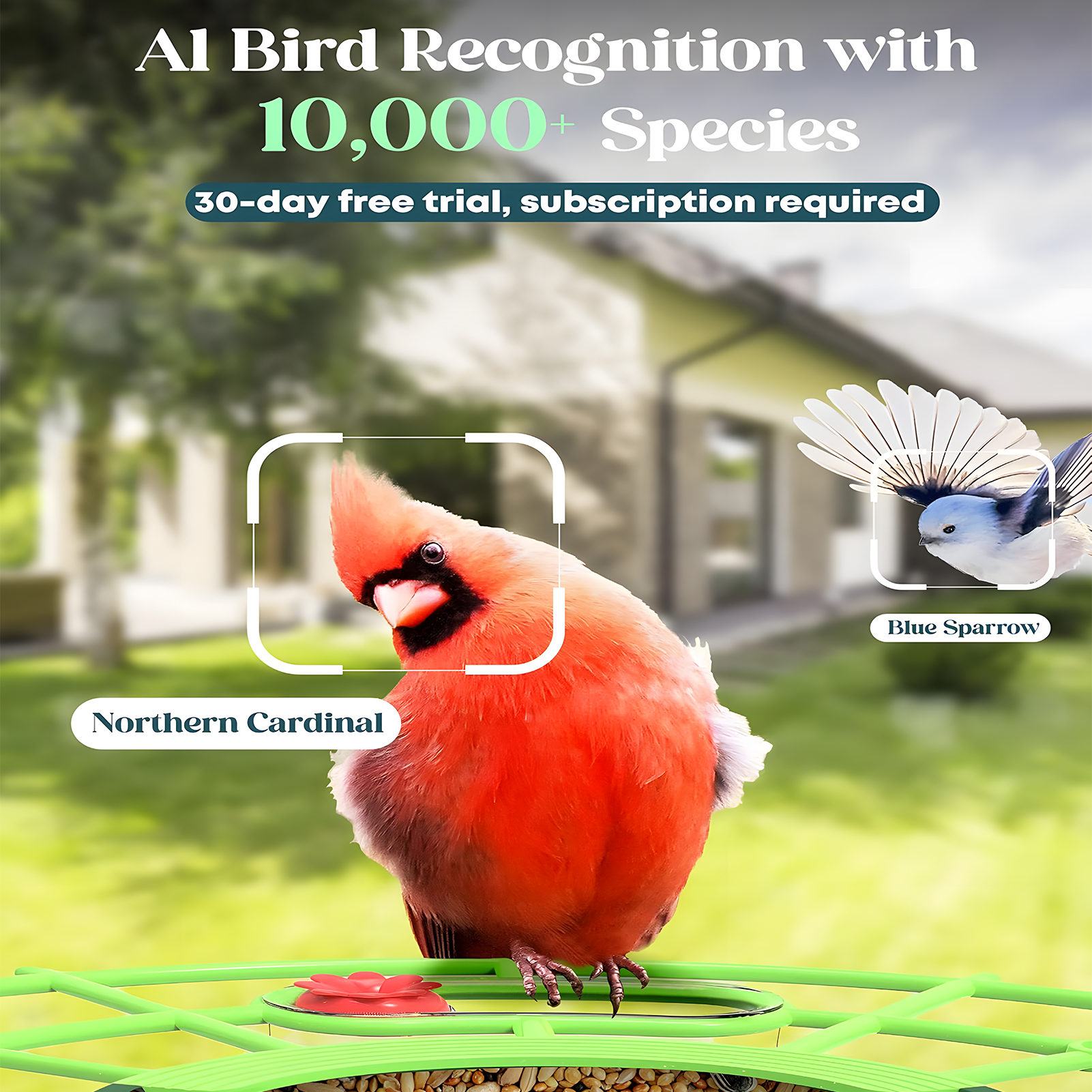 KORALAKIRI Bird Feeder with Camera, Solar Smart Hummingbird Feeder Outdoor with Wireless Camera Bird Houses for Outside Garden, 2K Video Live AI Recognition