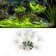 thumbnail image 1 of Planta De Agua Para Pecera, Decoración De Acuario, Simulación De Coral, 1 of 8