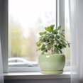 thumbnail image 6 of Ordivic 8 inch Glossy Green Ceramic Planters with Drainage & Saucer, Medium Round Flower Pot for Pothos Snake Plants Living Room Entryway Decor, 6 of 6