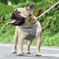 thumbnail image 4 of Dogs Harness And Leash Set French Bulldog Harness No Pull Adjustable Pet Chest Vest Reflective Outdoor Walking Pet Harness, 4 of 6