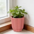 thumbnail image 3 of Mainstays Arlo 4" x 4" x 4" Round Coral Peony 100% Recycled Resin Planter, 3 of 9
