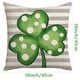 thumbnail image 2 of Cojín de asiento, artículos esenciales para dormitorio, funda de almohada con estampado irlandés, cojín decorativo para sofá del Día de San Patricio, regalo para hombre, regalo para mujer, cojines dec, 2 of 2