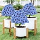 thumbnail image 5 of Orquídea Artificial de Mariposas Artificiales, Simulación de Flores, Decoración de Suelo, Boda, Jardín, Exterior, Mariposas, Orquídea, Flor Artificial, 5 of 6