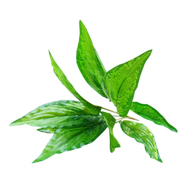 1 Manojo de Magnolia Hoja Follaje Planta Artificial Seda Decoación Hogar Casa Oficina Macarena Planta artificial