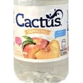 thumbnail image 3 of Pack de 16 Agua Cactus Surtido de 500ml Cactus Surtido de 500ml, 3 of 3
