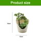 thumbnail image 2 of 2 uds suculentas de simulación, macetas falsas, flores artificiales, pequeños adornos creativos, simulación de plantas verdes, plantas en macetas, 2 of 5