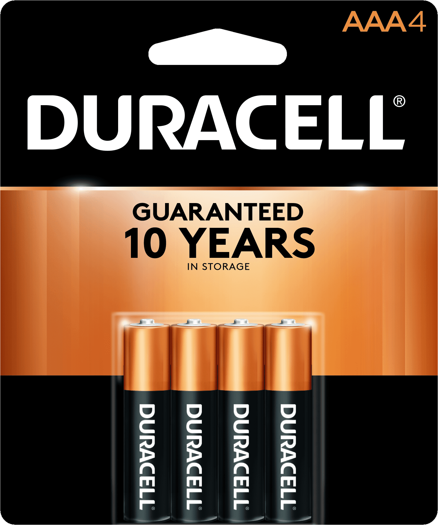 Duracell Lawn And Garden Battery Fasci Garden