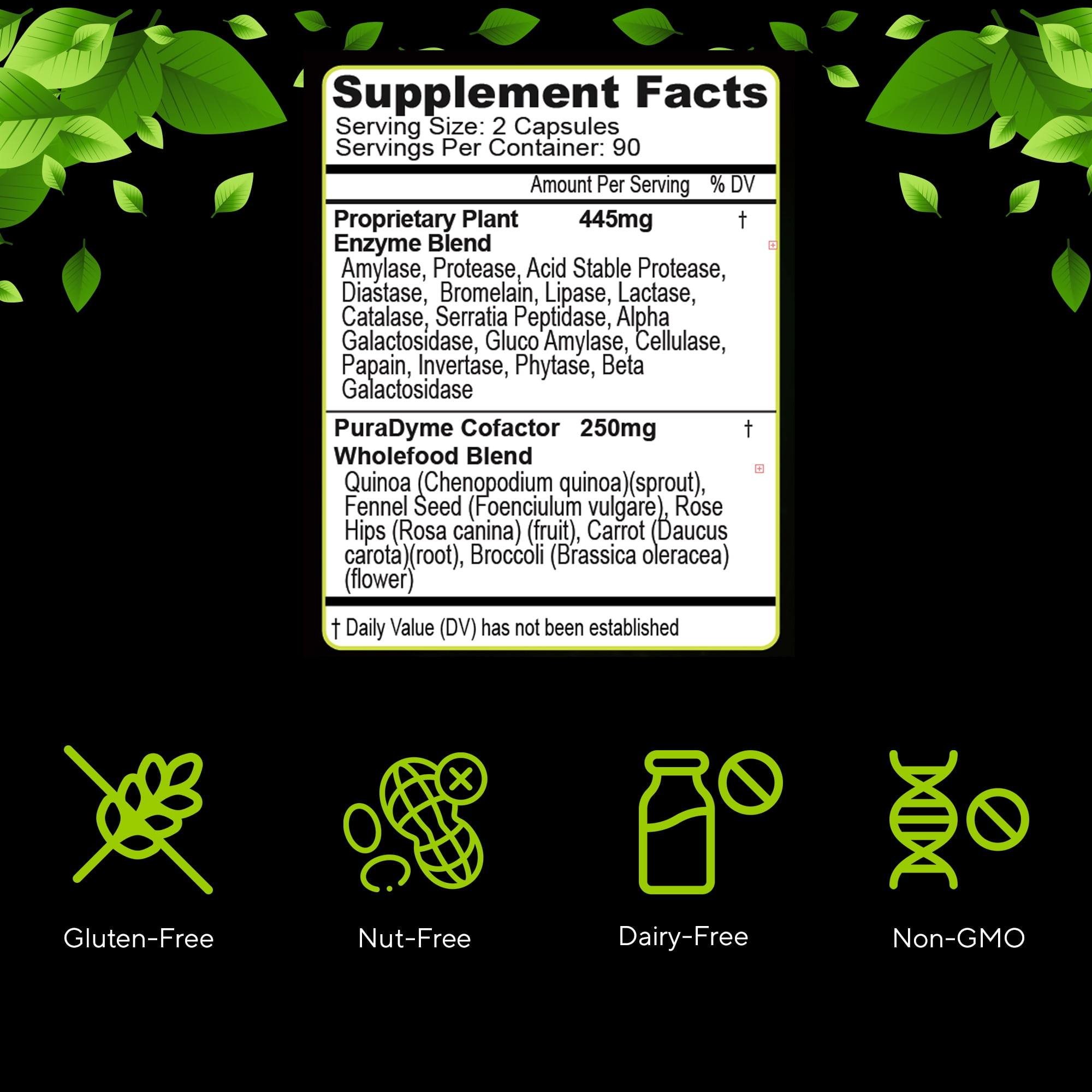 PuraDyme LiyfZyme Plant-Based Digestive Enzyme, Digestive Health Support (500 Ct)