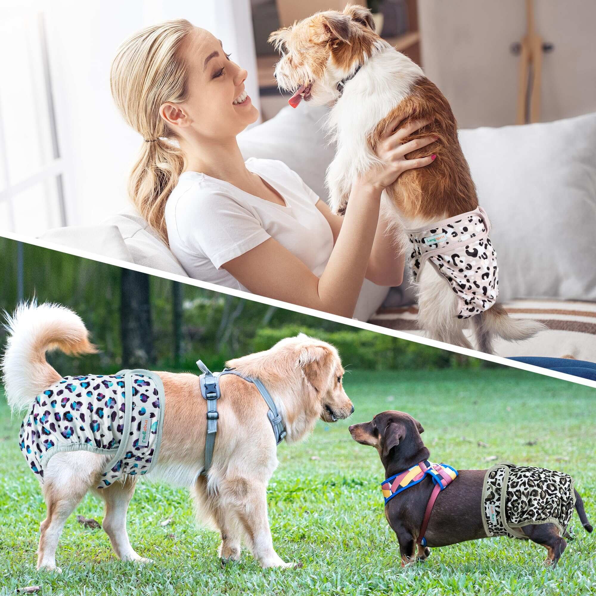 Langsprit Washable Female Dog Diapers (3 Pack) - No Leak Reusable Diapers for Doggy Female in Period - Highly Absorbent Dog Heat Panties with Adjustable Snaps,Leopard,L