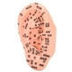 thumbnail image 1 of Modelo de acupuntura de oído humano, modelo de zona del oído, modelo de masaje de oído, modelo de zona del oído construido para precisión, 1 of 9