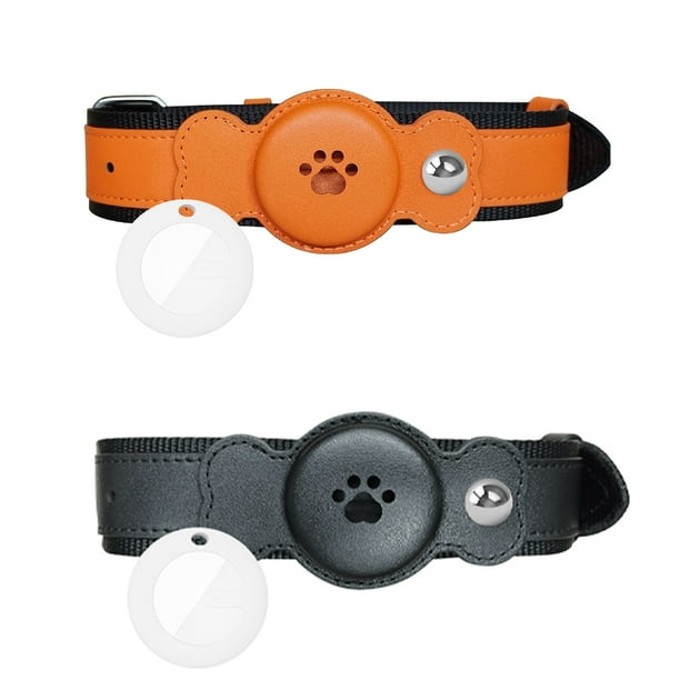 Dog belt with shop gps