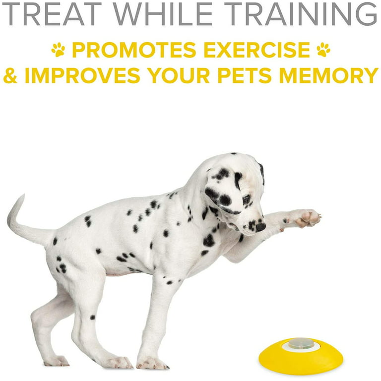ARF Pets Dog Treat Dispenser with Remote Button, Dog Memory Training Activity Toy, Size: One size, White