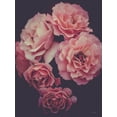 thumbnail image 2 of Seven Trees Design 19x24 White Modern Wood Framed Museum Art Print Titled - Dreamy Roses, 2 of 4