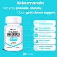 thumbnail image 2 of HealthFare Akkermansia Muciniphila Probiotic | 300 Billion AFU | 90 Vegan Capsules | Inulin Prebiotic for Gut Health & Digestive Support | Non-GMO, Gluten-Free | Made in USA, 2 of 7