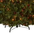 thumbnail image 3 of Árbol de Navidad Dunhill Fir de National Tree Company, 6.5 pies, 3 of 6