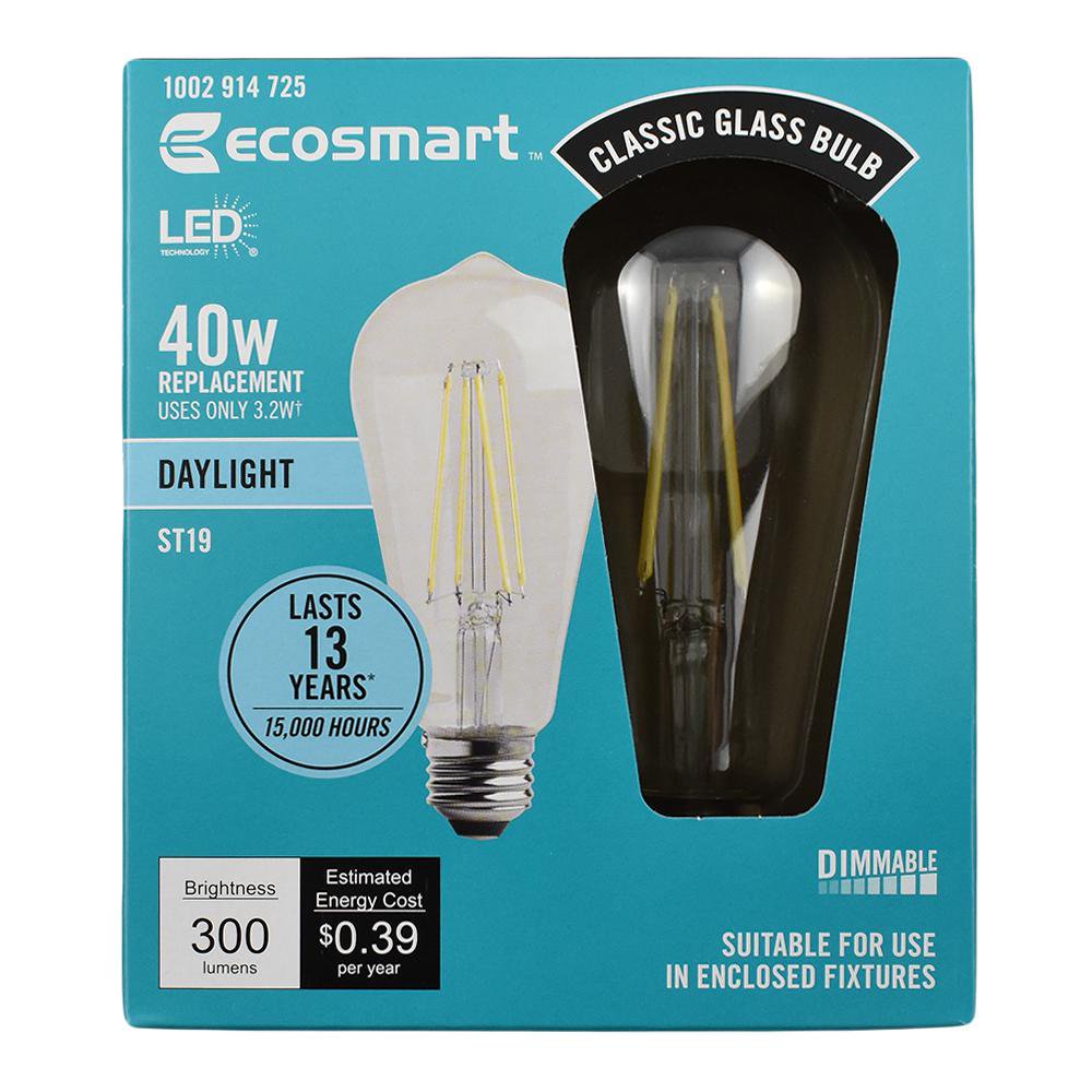 EcoSmart 40Watt Equivalent ST19 Dimmable Clear Filament Vintage Style