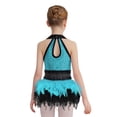 thumbnail image 2 of Alvivi Kids Girls Halter Shiny Leotard Sleeveless Dress Latin Jazz Modern Tango Ballet Dancewear 6-16 Light Blue 16, 2 of 5