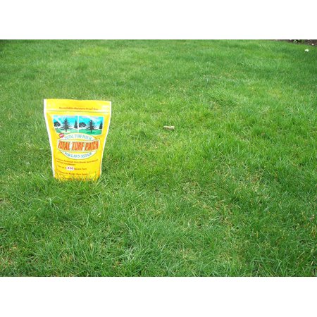 Turf Total Turf Patch Grass Seed, Covers 250 Sq
