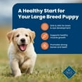 thumbnail image 4 of Blue Buffalo Life Protection Formula Large Breed Dry Puppy Food, Chicken & Rice, 15 lbs., 4 of 11