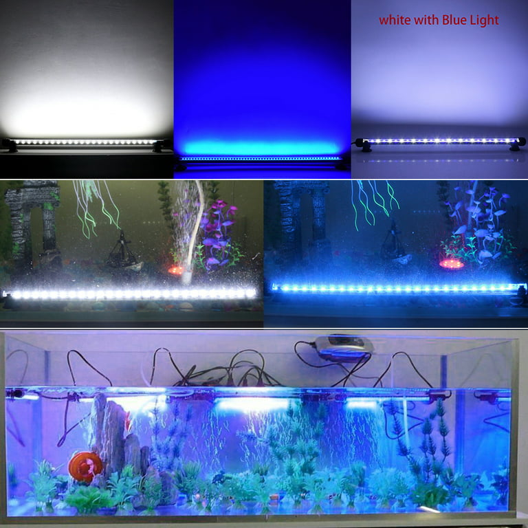 Rettsmedicin mynte software DONGPAI LED Aquarium Light, Submersible Fish Tank Light with Timer 3 Light  Modes Dimmable White & Blue LED Light Bar Stick - Walmart.com