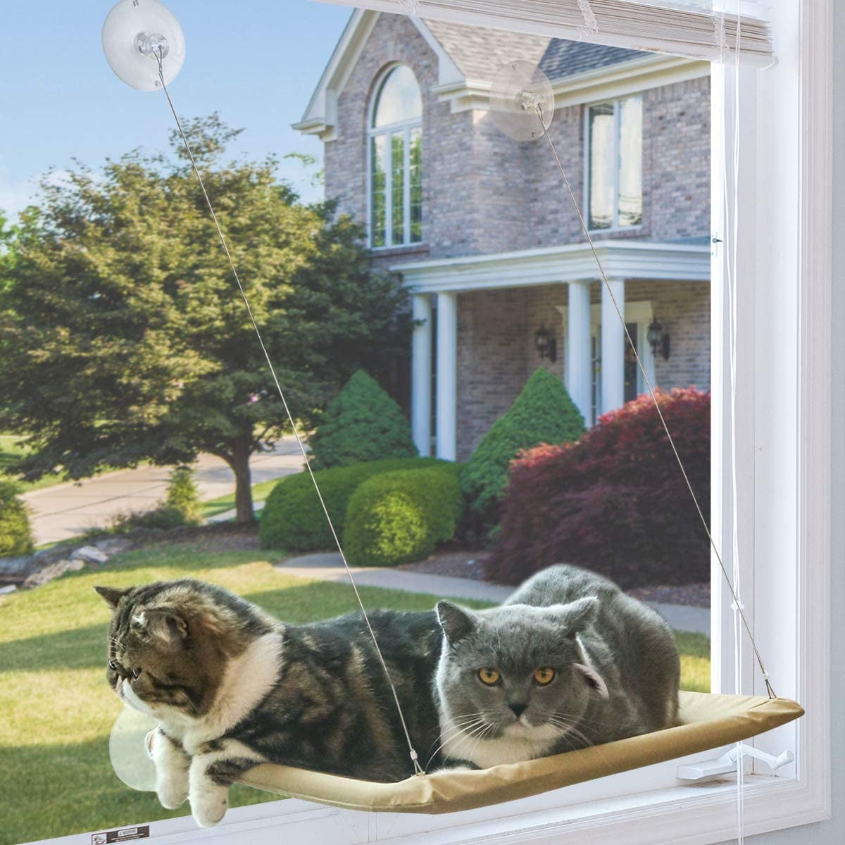 MEWOOFUN Cat Window Perch Cat Window Hammock Cat Bed with Strong Suction Cups Space Saving Cat Seat Providing All-Around Sunbath Holds Up to 30 lbs 