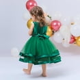thumbnail image 6 of WOYY Newborn Girls Wedding Party Princess Dress Sleeveless Pageant Gown, Sizes 0-18M, 6 of 8