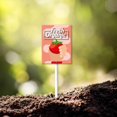 thumbnail image 3 of Eveokoki Aluminum Seed & Plant Labels - Plant Markes for Seedlings-Plant Tags for Pots - Garden Signs for Vegetable - Durable Markers for Plants Outdoor Waterproof - Garden Decor for Farmhouse, 3 of 6