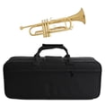 thumbnail image 1 of Runquan Musical Instrument Bag Trumpet Carrying Case Party Favor Storage Box Handbag for, 1 of 8