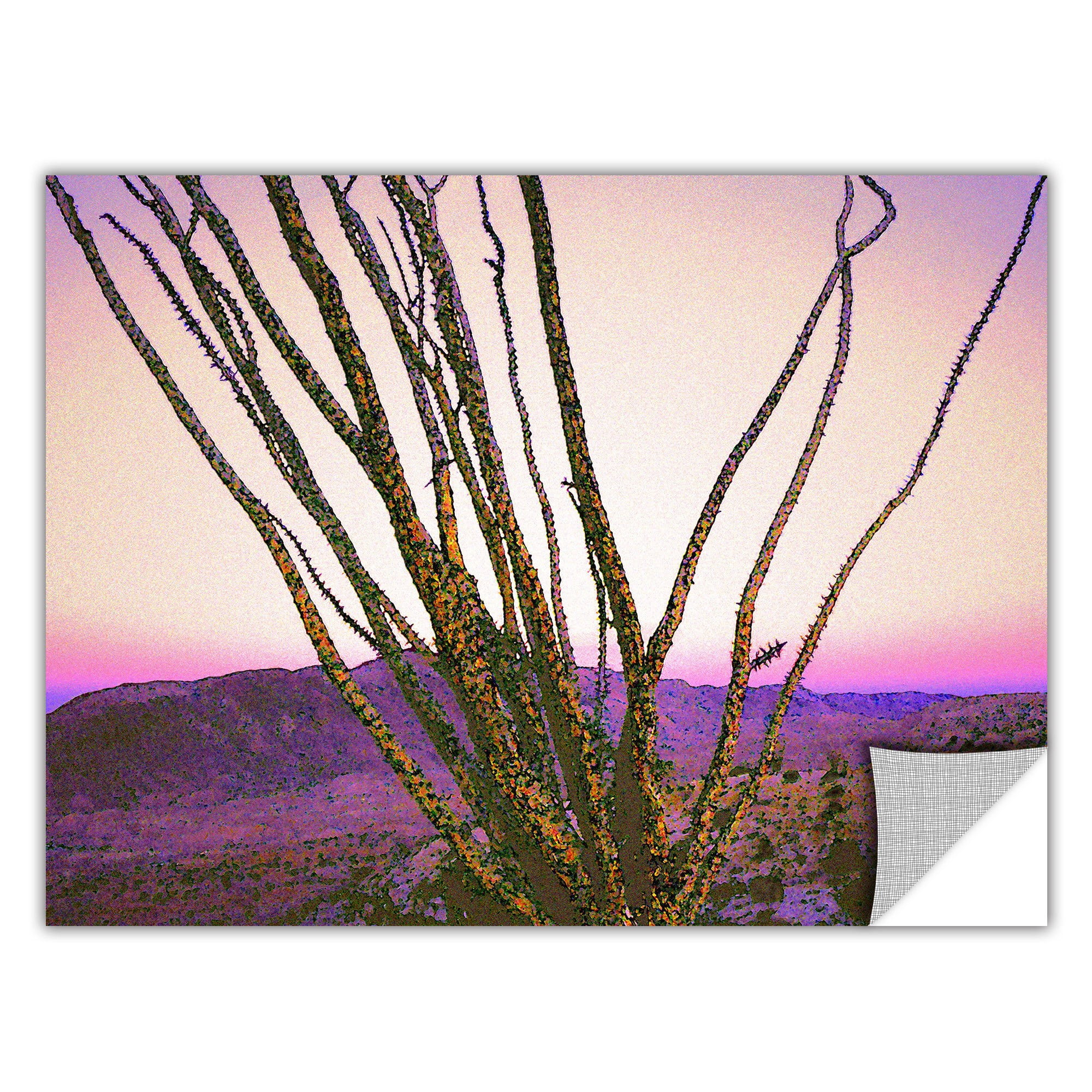 Dean Uhlinger Borrego Desert Dawn, Art Appeelz Removable Wall Art Graphic
