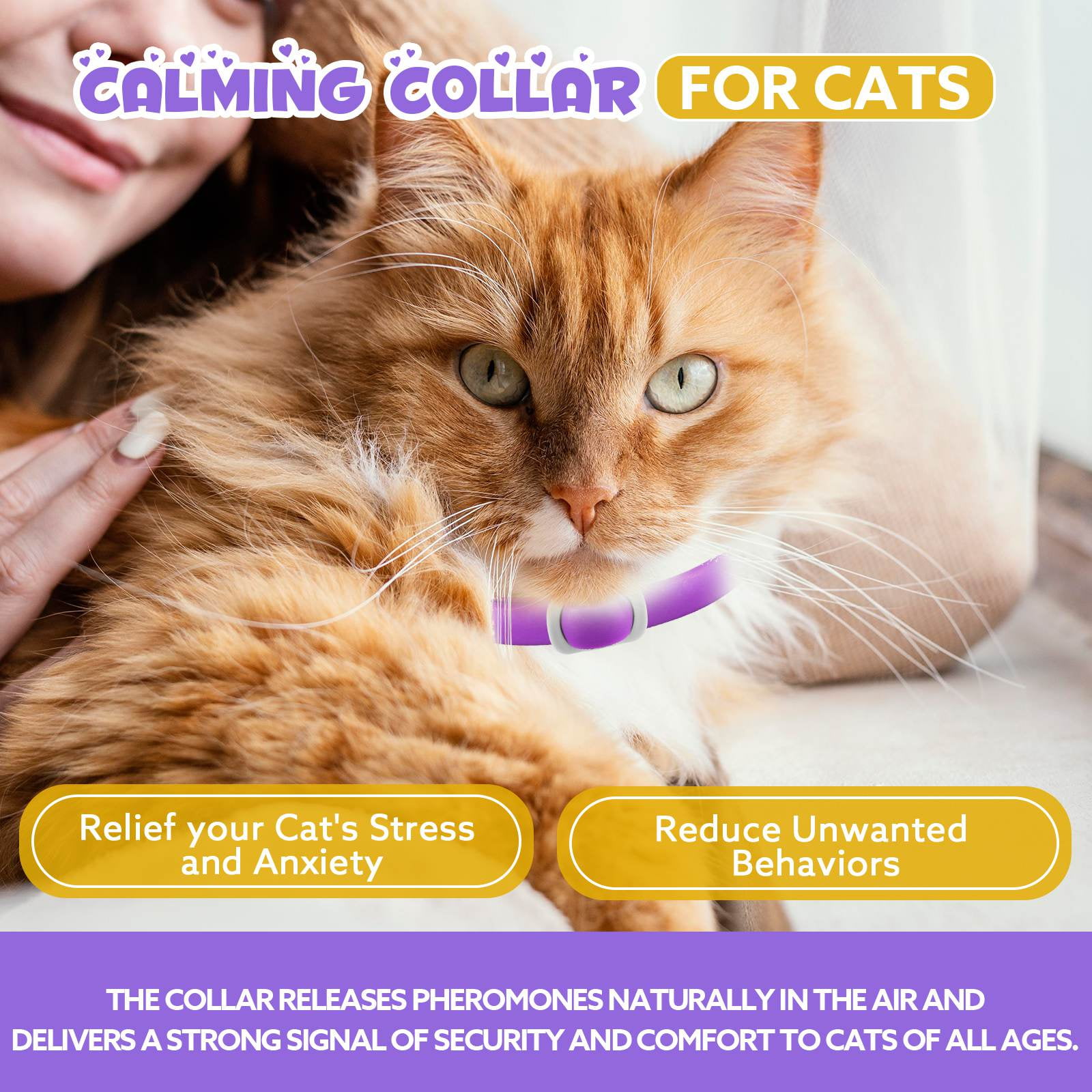 Cat calming outlet collar walmart