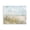 Coastal meadow flowers landscape, variant on Stupell Industries Mottled Pastel Field Impression Canvas Wall Art, design by Creative Studio