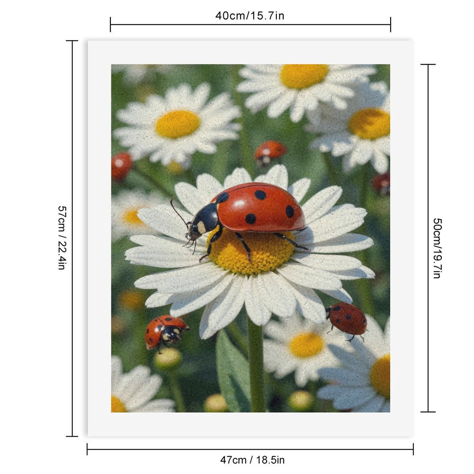 Paint by Numbers Kit for Adults, Ladybugs On Daisies Blossom Meadow Paint by Numbers, Easy Paint by Numbers Kit for Adults Beginner, DIY Adult Paint by Number Kits on Canvas, 12x16in Home Decor