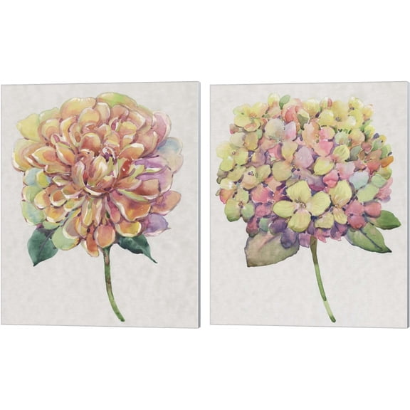 Great Art Now Multicolor Floral by Timothy O'Toole 2 Piece Canvas Art Set Each 12W x 15H