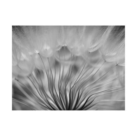 Canvas Wall Art - Keren Or 'Dream' Wall Art for Living Room, Bedroom, or Office Décor by Trademark Fine Art - 19 x 14 Inches