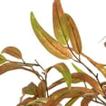 thumbnail image 5 of Nearly Natural Artificial Eucalyptus Potted Tree - 5' - Orange and Green, 5 of 7
