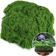 Artificial Moss for Crafts & Plants - Floral Moss Decor for Centerpieces, Terrariums, Indoor/Outdoor DIY