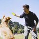 thumbnail image 5 of el perro determinado de la felpa del juguete del animal doméstico 12pcs juega los juguetes pequeños y medianos del perro del acompañamiento sano, 5 of 5