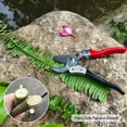 thumbnail image 5 of TONMA Anvil Pruning Shears [Made in Japan] 8" Sharp Garden Pruners, Japanese Secateurs with Ergonomic Handles, 5 of 6