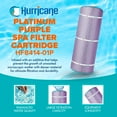 thumbnail image 2 of Hurricane Filters HF8414-01P Platinum Purple Spa Filter Cartridge Replacement, 3 Pack, 2 of 8