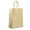 Gold, variant on IN-JOOYAA Multi Color Gift Bags Small Size Kraft Paper Gift Bags with Handles 12 Pcs (Rainbow, 5 x 3.1 x 8.2 in)