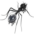 thumbnail image 5 of HUASHENG Solar Educational Novelty Kids Cute Powered Toy Toy Education, 5 of 5