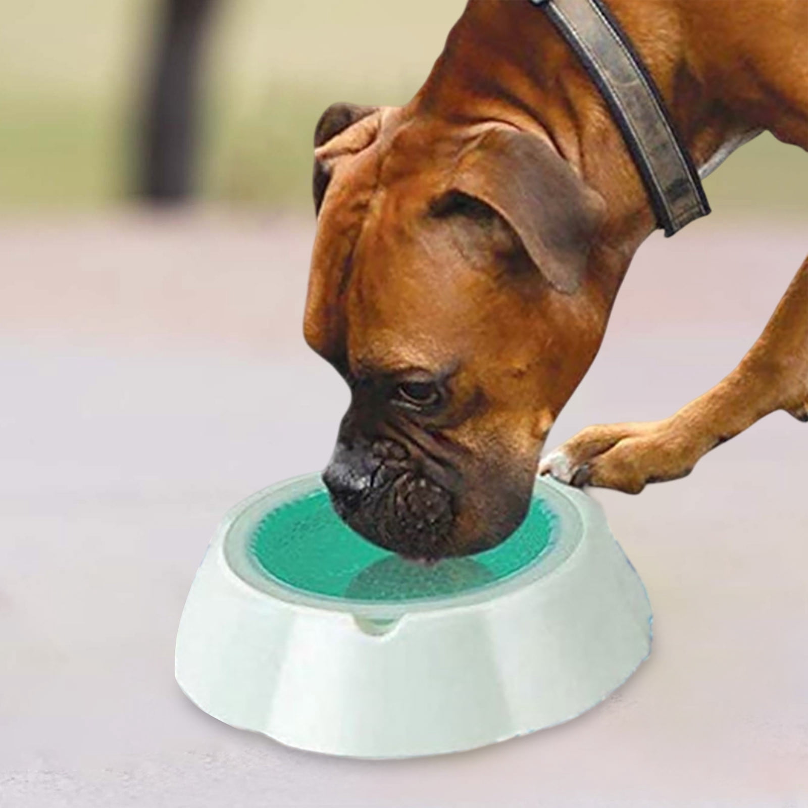 Pet Frosty Bowl For Dogs Cats Stable Base Detachable Design For Food Water For Heat Made Of Dog Feeders Slow Eating Cat Bowl Dog Feeders for Large Dogs Elevated Large Slow Feeder Dog Bowls 4 Cup