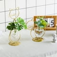 thumbnail image 5 of Desktop Glass Planter Vase Holder, Metal Cat Plant Terrarium Stand for Plants Creative Decorations for Home Patio Lawn Garden, 5 of 6