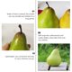 thumbnail image 5 of 4 unids Simulación Pera Fruta Modelo Decorativo Artesanía Fotografía Props Cyan, 5 of 6