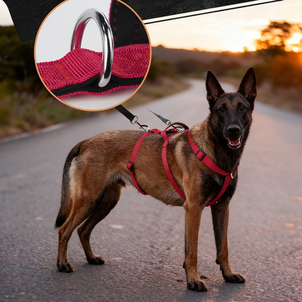 Escape Proof Dog Harness, No Pull Harness with Lift Handle, Adjustable Pet Vest with Front and Back Leash Clips for Medium Large Dogs Walking Hiking Training