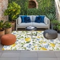 thumbnail image 2 of Summer Lemon Outdoor Rug for Patio/Deck/Porch, Non-Slip Large Area Rug 6 x 9 Ft, Yellow Fruits Spring Floral Botanical Indoor Outdoor Rugs Washable Area Rugs, Reversible Camping Rug Carpet Runner, 2 of 8