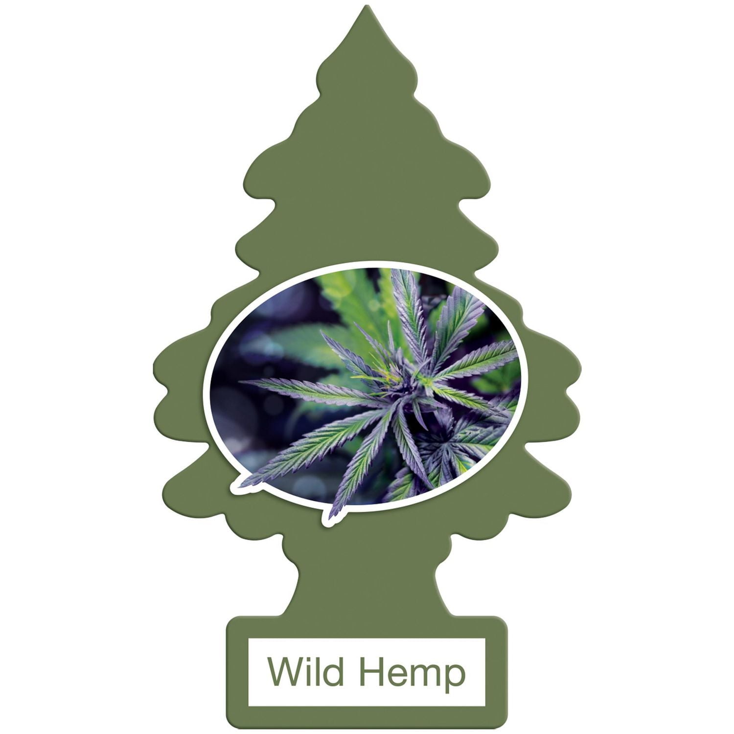 LITTLE TREES air freshener Wild Hemp 3-Pack